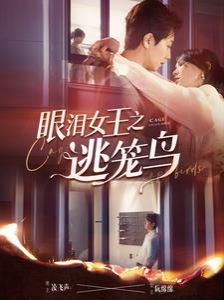 眼泪女王之逃笼鸟 第21-40集