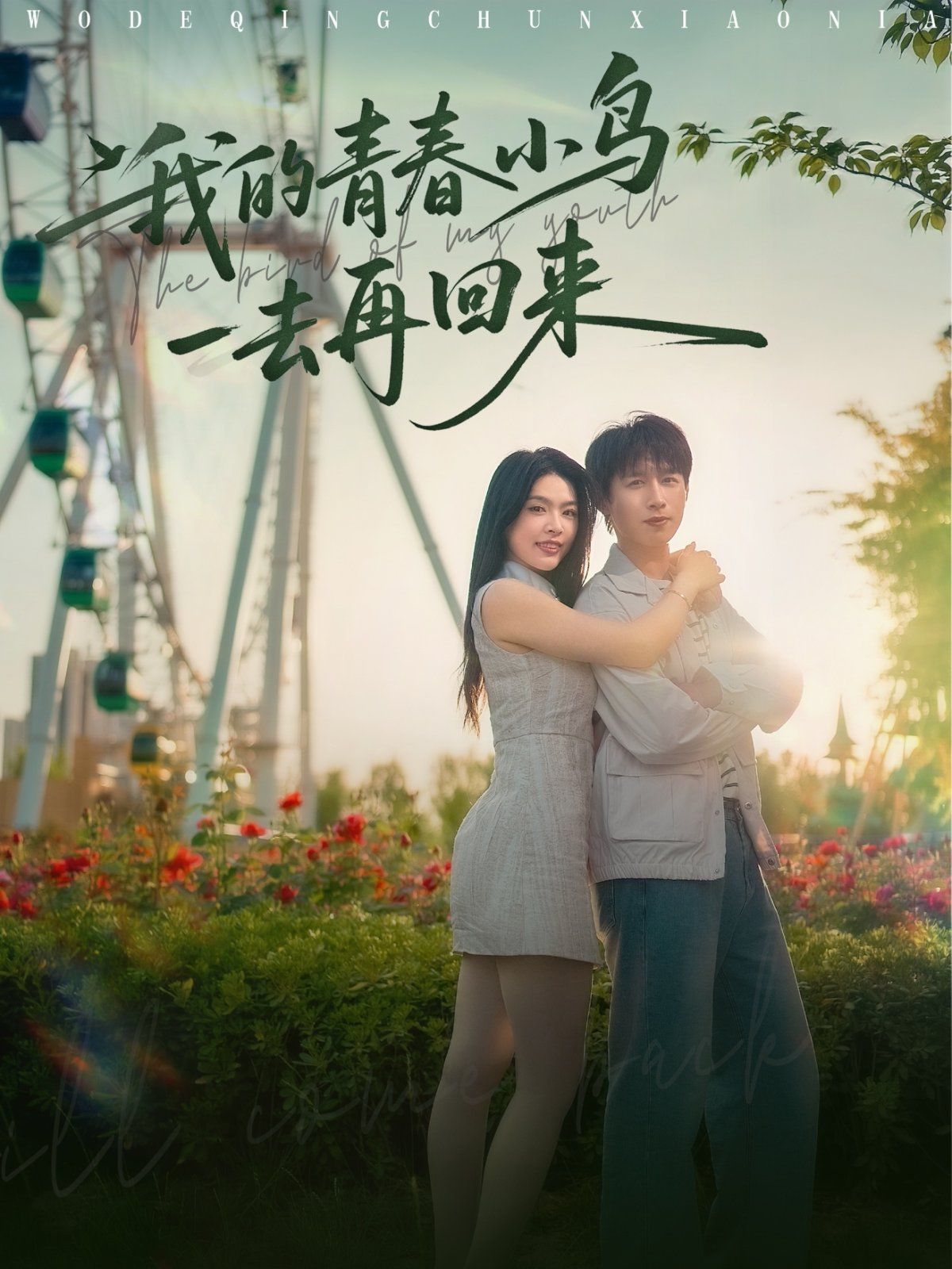 我的青春小鸟一去再回来(全集)