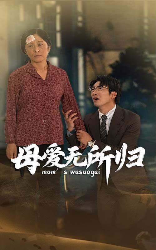 母爱无所归 第21-33集完结(大结局)