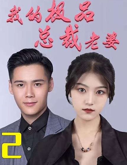 我的极品总裁老婆 第100集