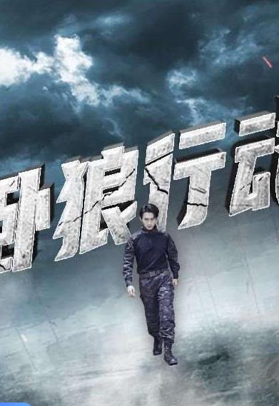 卧狼行动2024 第04集